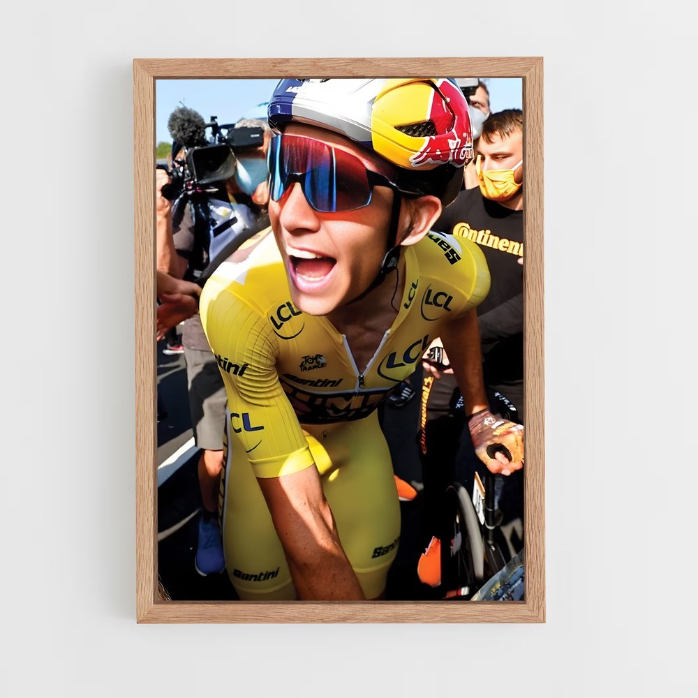 Poster Wout van – affiche Cyclisme (vue 4)